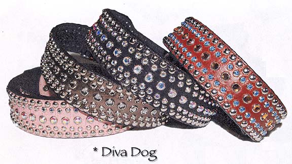 Diva western style dog collars