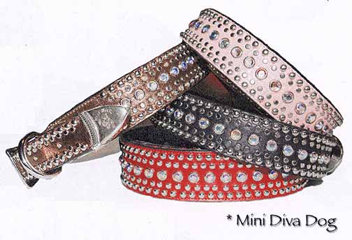 Mini Diva style dog collar